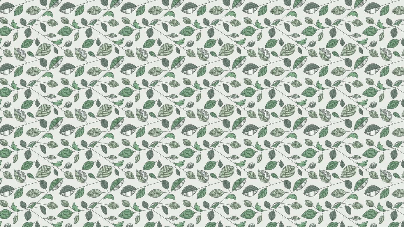 Metapod Michi Method scene — Scene wallpaper — Metapod