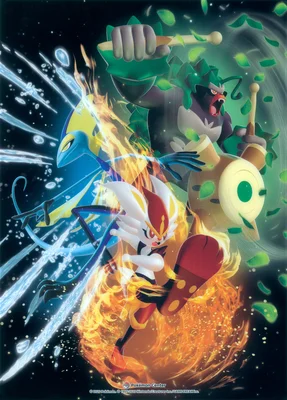 Rillaboom Michi Method scene — Pokémon Center - Inteleon, Cinderace, Rillaboom