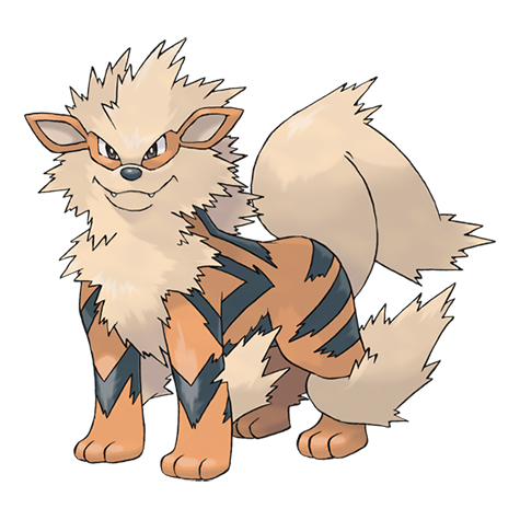 Official Arcanine artwork - cute Arcanine Pokémon card collector guide