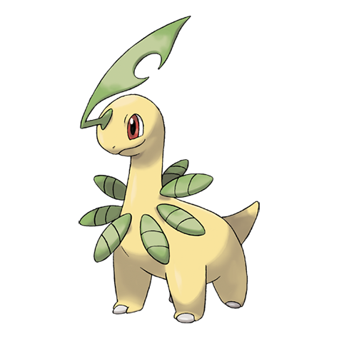 Official Bayleef artwork - cute Bayleef Pokémon card collector guide