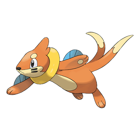 Official Buizel artwork - cute Buizel Pokémon card collector guide