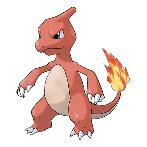 Official Charmeleon artwork - cute Charmeleon Pokémon card collector guide