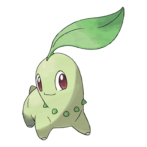 Official Chikorita artwork - cute Chikorita Pokémon card collector guide