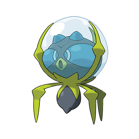Official Dewpider artwork - cute Dewpider Pokémon card collector guide