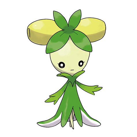 Official Dolliv artwork - cute Dolliv Pokémon card collector guide