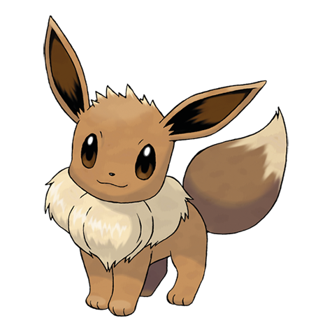 Official Eevee artwork - cute Eevee Pokémon card collector guide