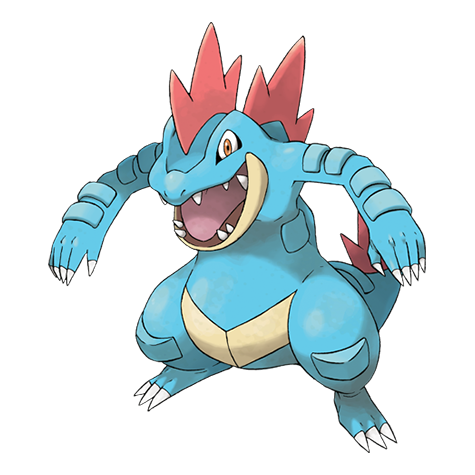 Official Feraligatr artwork - cute Feraligatr Pokémon card collector guide