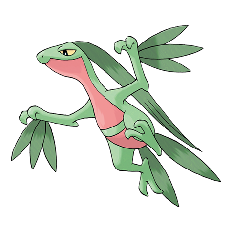 Official Grovyle artwork - cute Grovyle Pokémon card collector guide