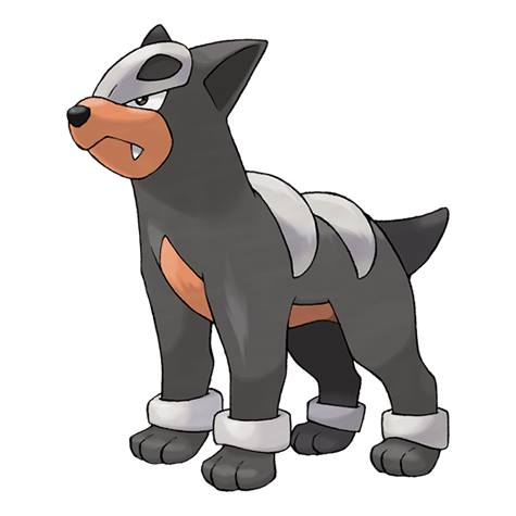 Houndour Official artwork