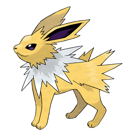 Official Jolteon artwork - cute Jolteon Pokémon card collector guide