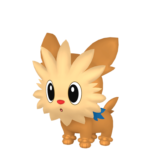 Lillipup HOME render