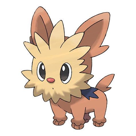 Official Lillipup artwork - cute Lillipup Pokémon card collector guide