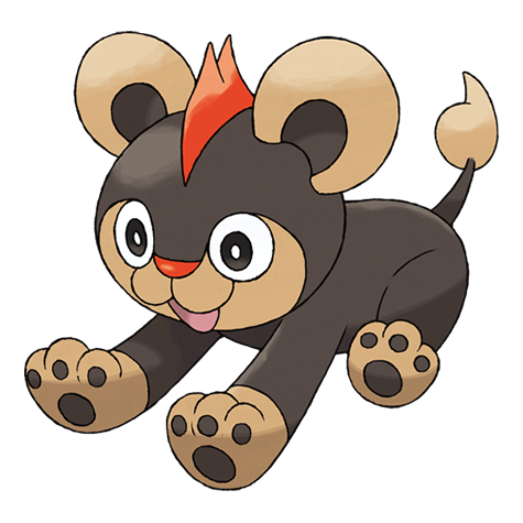 Official Litleo artwork - cute Litleo Pokémon card collector guide