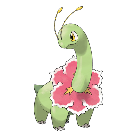 Official Meganium artwork - cute Meganium Pokémon card collector guide