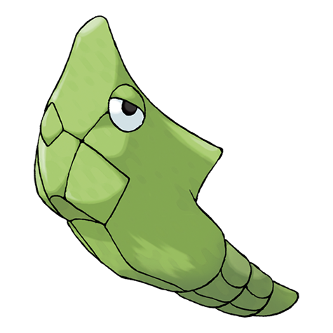Official Metapod artwork - cute Metapod Pokémon card collector guide