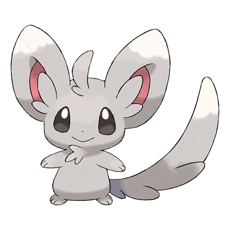 Official Minccino artwork - cute Minccino Pokémon card collector guide