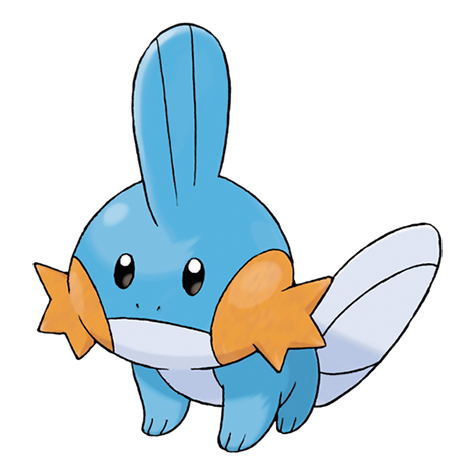Official Mudkip artwork - cute Mudkip Pokémon card collector guide