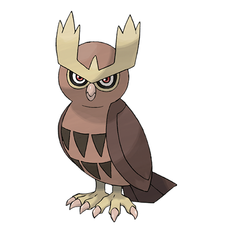 Official Noctowl artwork - cute Noctowl Pokémon card collector guide