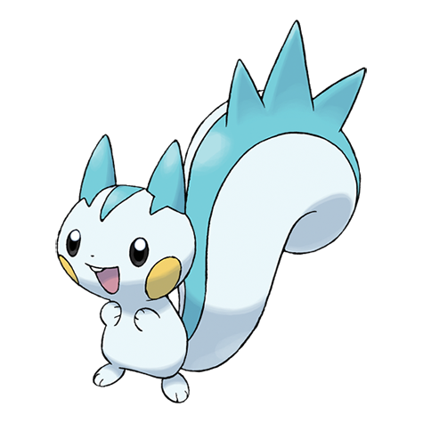Official Pachirisu artwork - cute Pachirisu Pokémon card collector guide