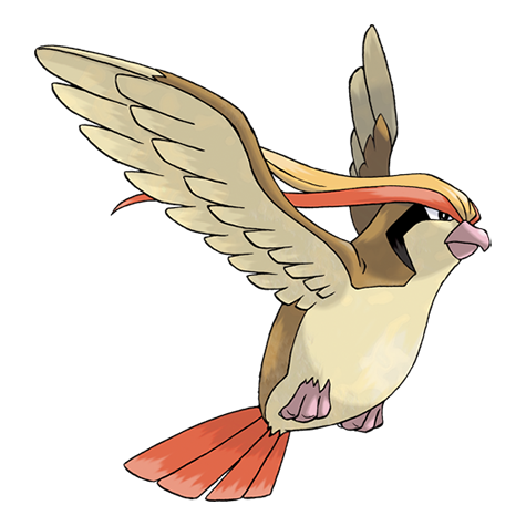 Pidgeot Official artwork