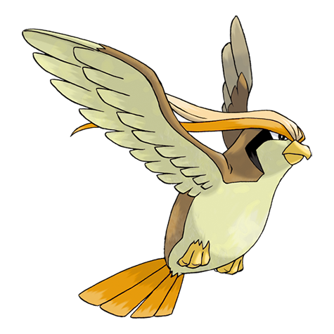 Pidgeot Shiny palette