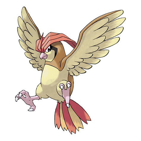 Official Pidgeotto artwork - cute Pidgeotto Pokémon card collector guide