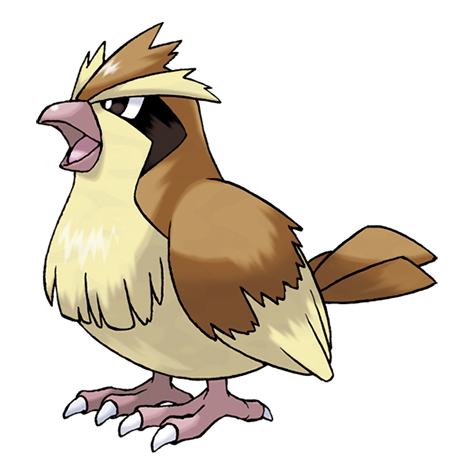Official Pidgey artwork - cute Pidgey Pokémon card collector guide
