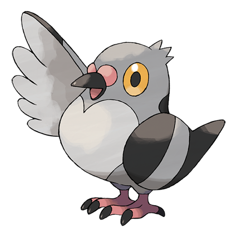 Official Pidove artwork - cute Pidove Pokémon card collector guide