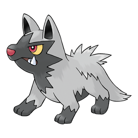 Official Poochyena artwork - cute Poochyena Pokémon card collector guide