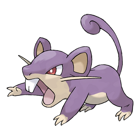 Official Rattata artwork - cute Rattata Pokémon card collector guide