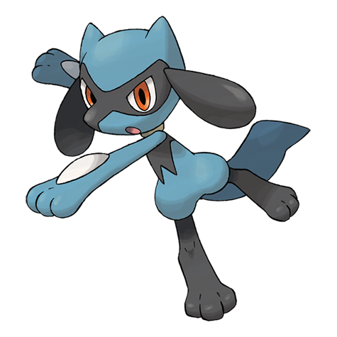 Official Riolu artwork - cute Riolu Pokémon card collector guide