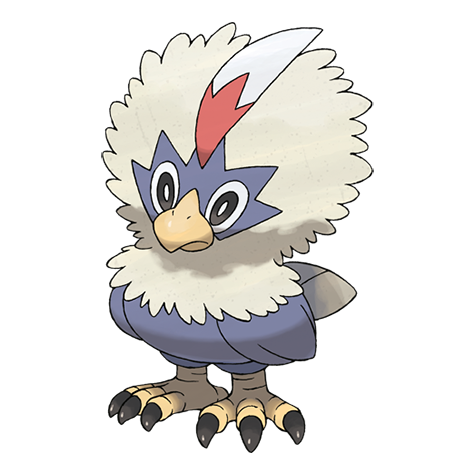 Official Rufflet artwork - cute Rufflet Pokémon card collector guide