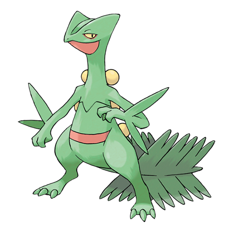 Official Sceptile artwork - cute Sceptile Pokémon card collector guide