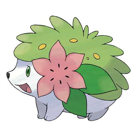 Official Shaymin artwork - cute Shaymin Pokémon card collector guide