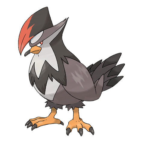 Official Staraptor artwork - cute Staraptor Pokémon card collector guide