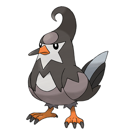 Official Staravia artwork - cute Staravia Pokémon card collector guide