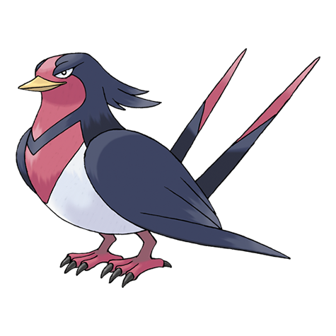 Official Swellow artwork - cute Swellow Pokémon card collector guide
