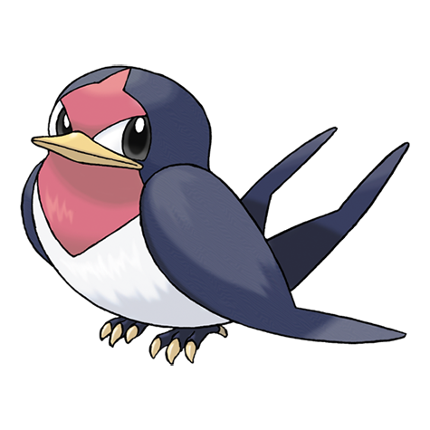 Official Taillow artwork - cute Taillow Pokémon card collector guide