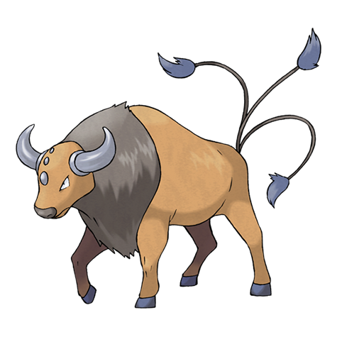 Official Tauros artwork - cute Tauros Pokémon card collector guide