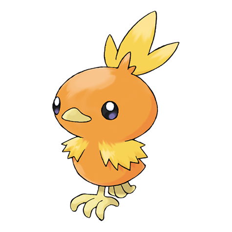 Official Torchic artwork - cute Torchic Pokémon card collector guide