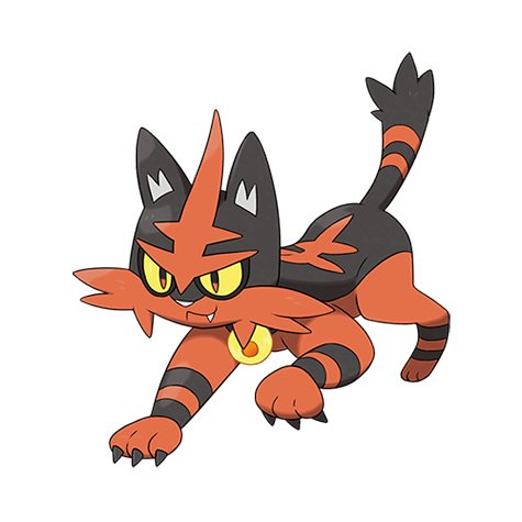 Official Torracat artwork - cute Torracat Pokémon card collector guide