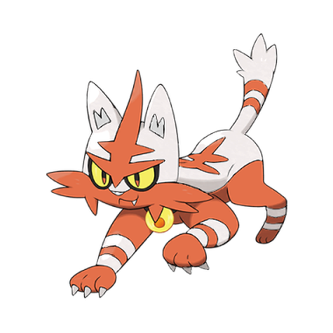 Torracat Shiny palette