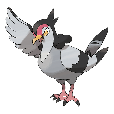 Official Tranquill artwork - cute Tranquill Pokémon card collector guide