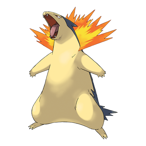 Official Typhlosion artwork - cute Typhlosion Pokémon card collector guide