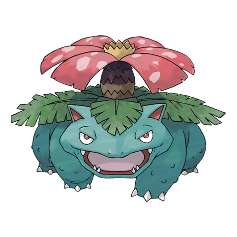 Official Venusaur artwork - cute Venusaur Pokémon card collector guide