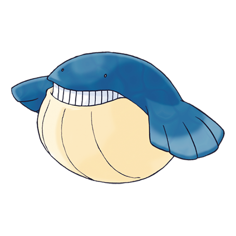 Official Wailmer artwork - cute Wailmer Pokémon card collector guide