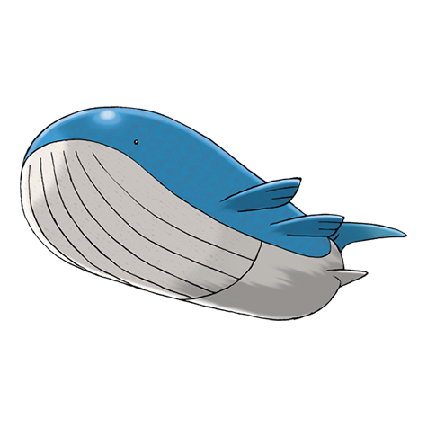 Official Wailord artwork - cute Wailord Pokémon card collector guide