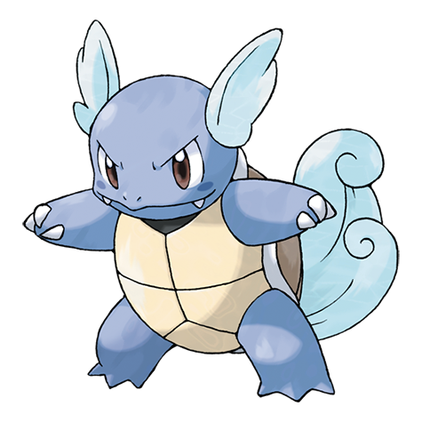 Official Wartortle artwork - cute Wartortle Pokémon card collector guide
