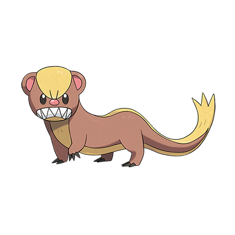 Official Yungoos artwork - cute Yungoos Pokémon card collector guide
