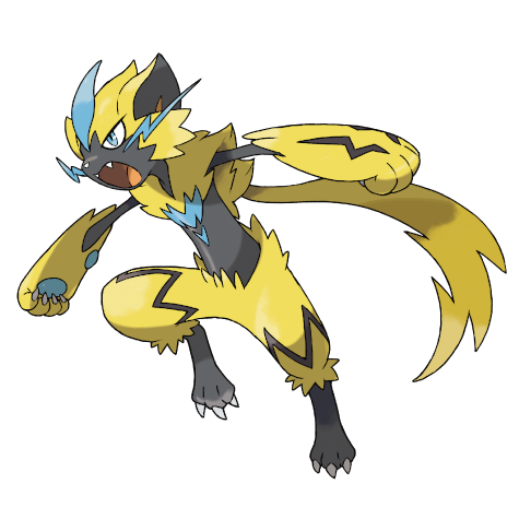 Official Zeraora artwork - cute Zeraora Pokémon card collector guide